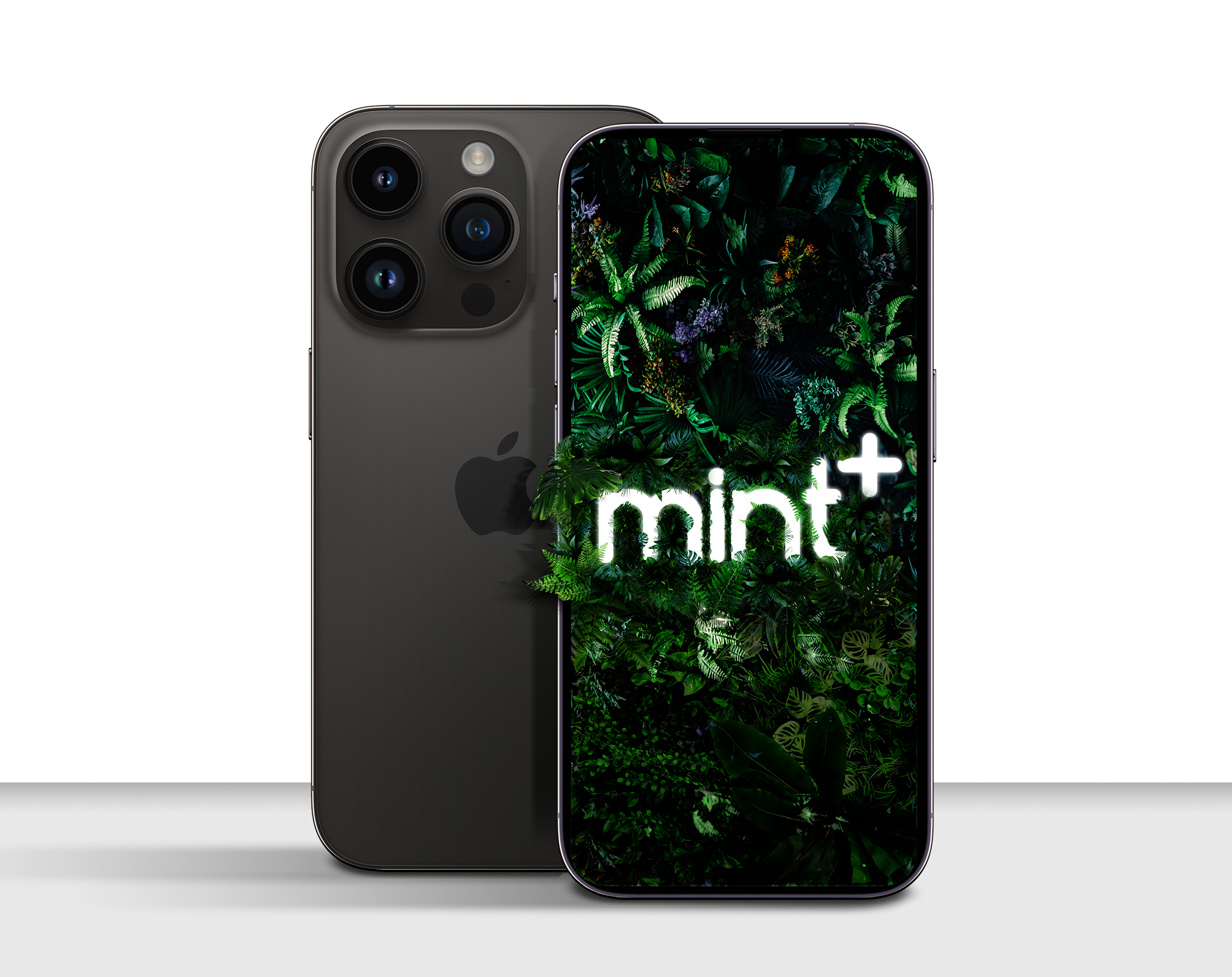 Mint phone image 196b05cb 7422 424d b07f 8d5eedac19a1