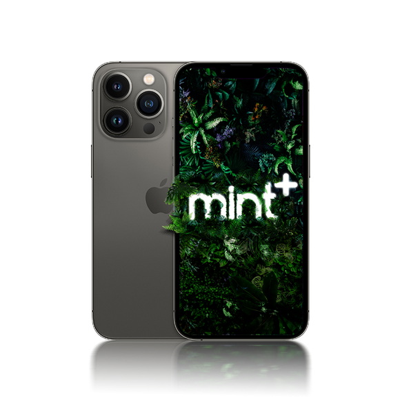 <h4>iPhone 13 Pro</h4>